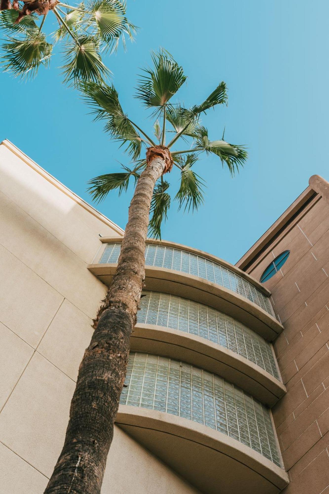 ホテル コートヤード ロサンゼルス Lax / センチュリー ブルバード エクステリア 写真